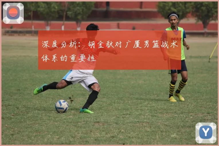 深度分析:胡金秋对广厦男篮战术体系的重要性